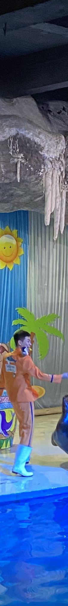 郑州海洋馆-郑州