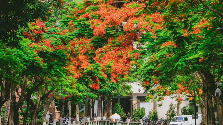 6D5N · Group Tours · Xiamen + Quanzhou + Chaozhou + Shantou + Kulangsu