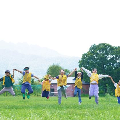 户外活动·黑龙江伊春6日独立营·中国小奈良·现实版绿野仙踪·带你寻找童话秘境