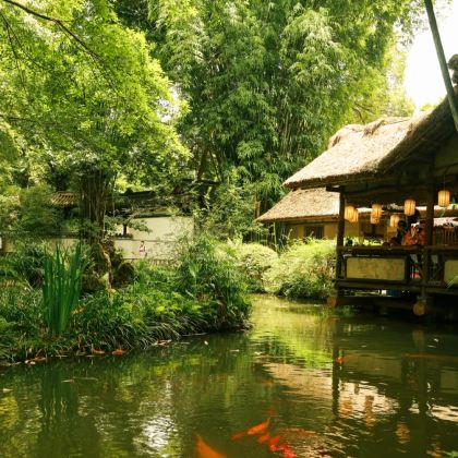 成都大熊猫繁育研究基地+都江堰+青城山+三星堆博物馆5日4晚私家团