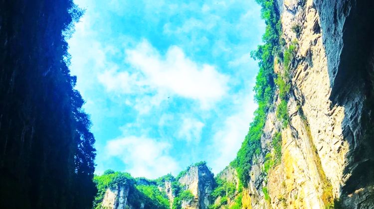 3-Day Private Tour from Chongqing·Wulong Karst & Dazu Rock Carvings