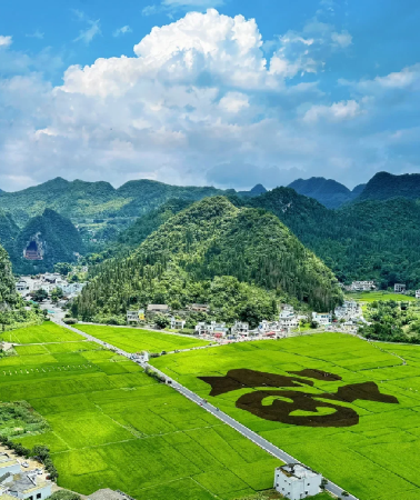 5天4晚 • 烏蒙大草原 馬嶺河峽谷 萬峰林景區 黃果樹瀑布 青岩古鎮 甲秀樓