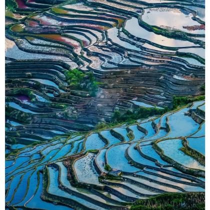 曲靖+罗平+九龙瀑布群+珠江源风景区+陆良彩色沙林+会泽古城7日6晚私家团