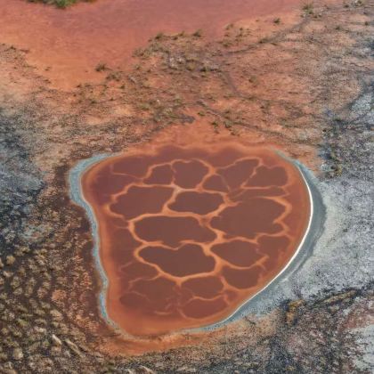 银川+中卫+腾格里沙漠2日1晚拼小团
