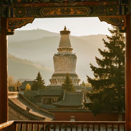 山西五台山4日3晚私家团