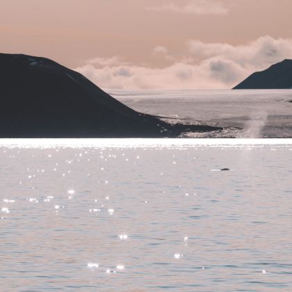 北极+挪威+冰岛17日跟团游