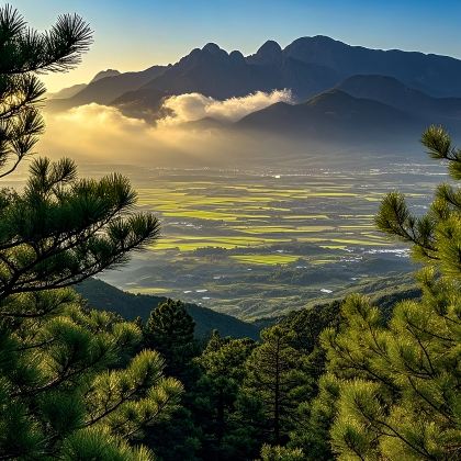 曲阜三孔+泰山2日1晚跟团游