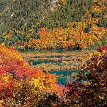 成都+乐山+峨眉山市+九寨沟+黄龙风景名胜区7日6晚自由行