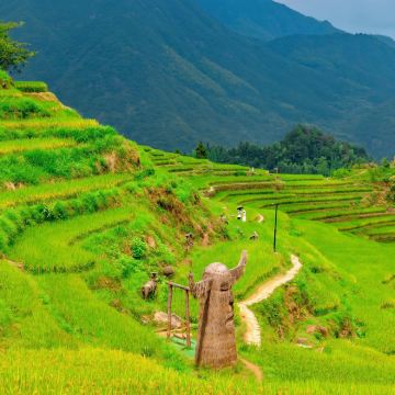 温州+丽水+台州10日9晚私家团