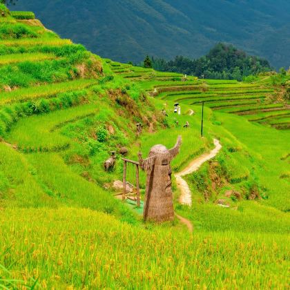 温州+丽水+台州10日9晚私家团