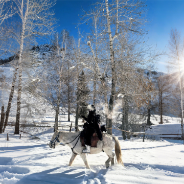 新疆北疆+阿勒泰地区6日5晚私家团