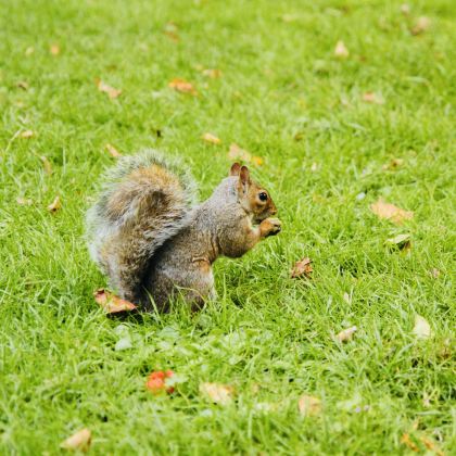 英国伦敦+牛津+剑桥+约克+科茨沃尔德+纽卡斯尔+温德米尔+利物浦+达勒姆14日13晚私家团