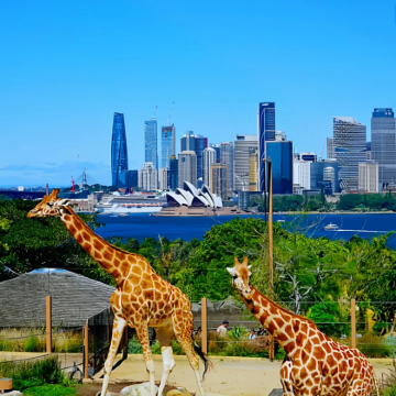 澳大利亚悉尼+阿德莱德9日8晚拼小团