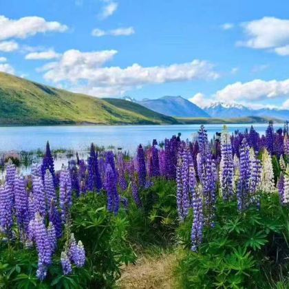 丹麦哥本哈根+欧登塞+比隆+里伯+罗斯基勒4日3晚拼小团