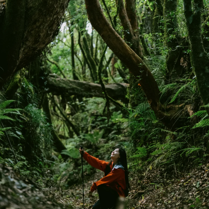 云南腾冲+芒市+西双版纳8日7晚私家团