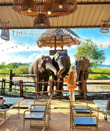 4D3N • Thailand + Chiang Mai + Explore Doi Suthep Temple for a Panoramic View of Chiang Mai