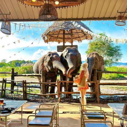 泰国曼谷+清迈6日5晚跟团游