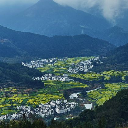 武夷山《印象大红袍》演出+婺源篁岭景区+江岭赏油菜花海+九曲溪竹筏漂流+景德镇7日6晚私家团