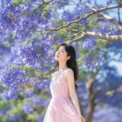 云南昆明+丽江+大理市7日6晚私家团