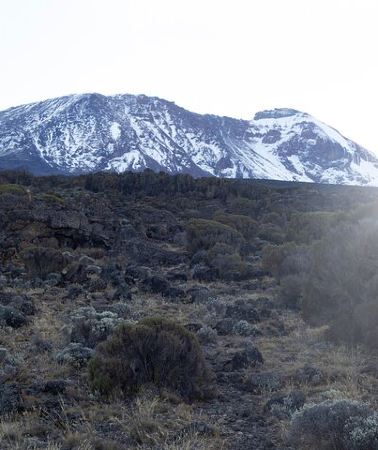 7D6N • 7 Days Kilimanjaro Climbing | Hiking Tour via the Lemosho Route