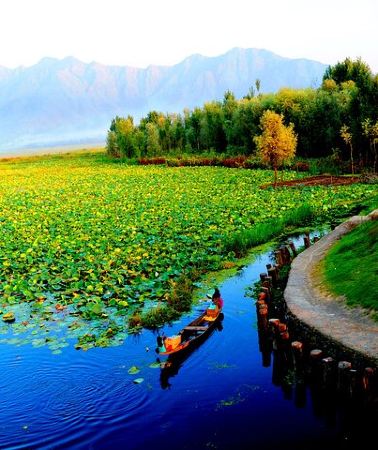 5D4N • Private 5-Day Kashmir Package Tour from Srinagar