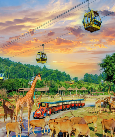 3天2晚 • 「廣州親子B級美食＆動物之旅」暢玩長隆野生動物世界＋可選國際大馬戲｜連續入住IHG逸衡飯店＆專車接送＋永慶坊Citywalk·早茶購物