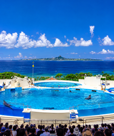 5D4N • Naha + Okinawa Churaumi Aquarium + Kouri Island + Cape Manzamo + American Village + Cape Zanpa + Kadena Air Base + Southeast Botanical Gardens
