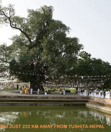 7D6N • 1-Week Buddhist Monastery Retreat in Lumbini