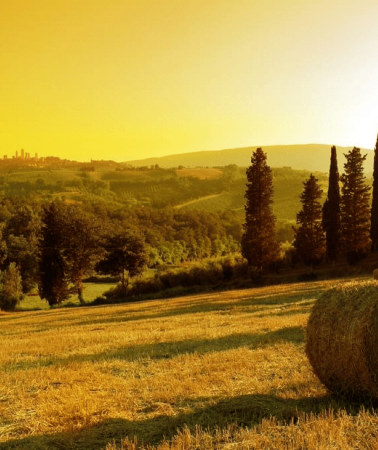 2D1N • From Florence: 2-Day Private Tuscany Tour with Hotel Stay