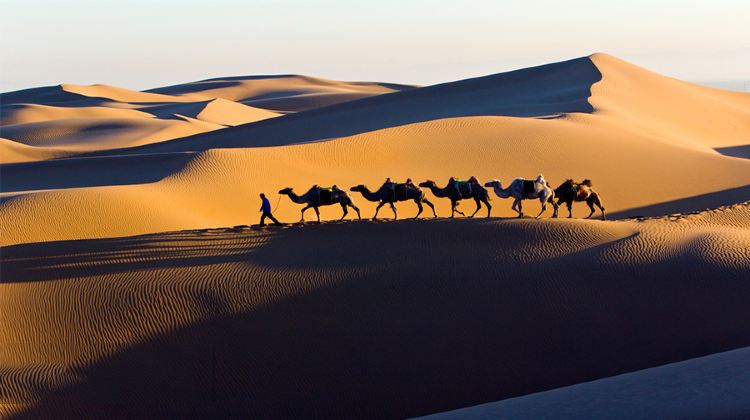 5-day 4-night · Private Tour · Inner MongoliaHohhot + Whistling Dune Bay