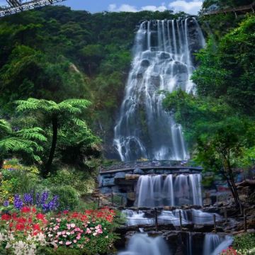 清远+英德+连州3日2晚拼小团