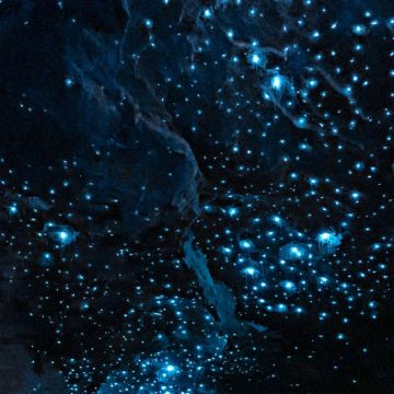 澳大利亚悉尼+奥克兰9日6晚私家团