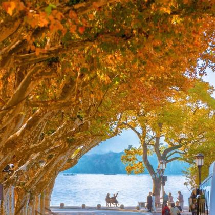 上海+乌镇+杭州+苏州+扬州+南京10日9晚私家团