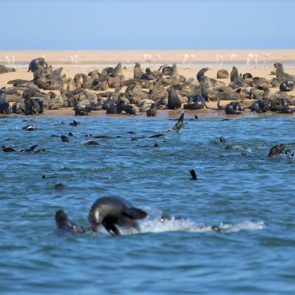 南非开普敦10日9晚自由行