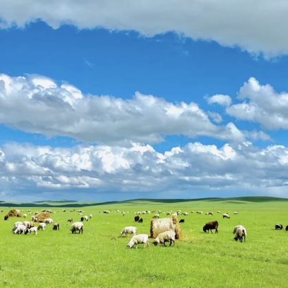 玉龙沙湖+乌兰布统旅游区3日2晚跟团游