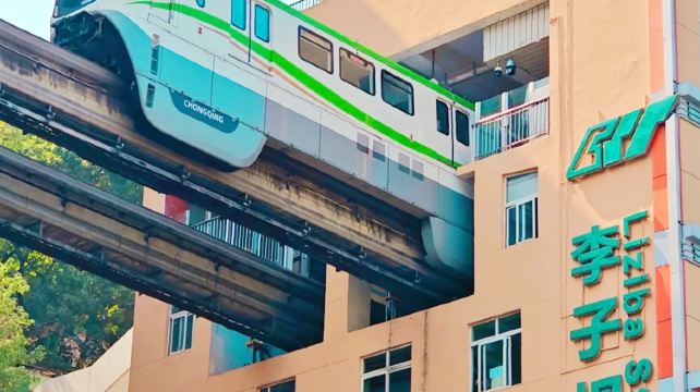 4-Day China Mountain City Private Tour from Chongqing·Dazu Rock Carvings, Liziba, Hongya Cave