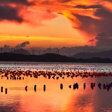 潮州+南澳岛+汕头+揭阳5日4晚私家团