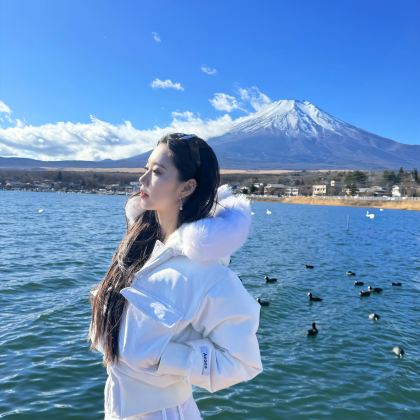 日本大阪+京都+奈良+岚山4日3晚跟团游