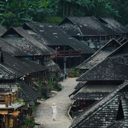 普洱+景迈山4日3晚拼小团