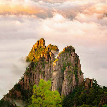 安徽黄山风景区+宏村景区3日2晚跟团游