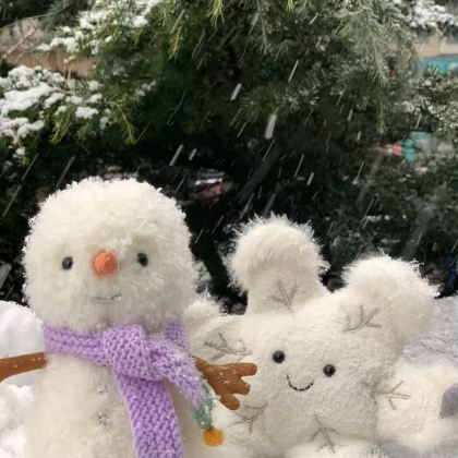 大连+金石滩+老虎滩海洋公园4日3晚私家团