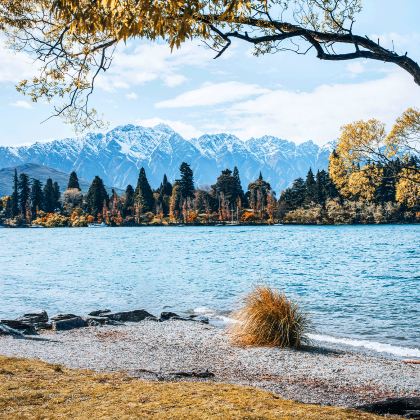 澳大利亚+新西兰13日跟团游