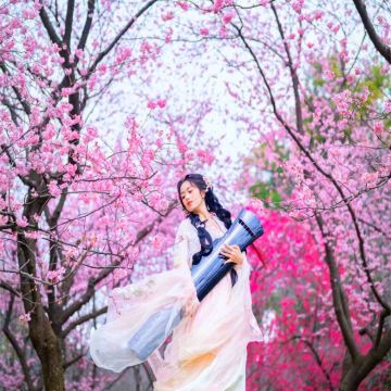 武汉+黄鹤楼+长江三峡+三峡大坝4日3晚跟团游