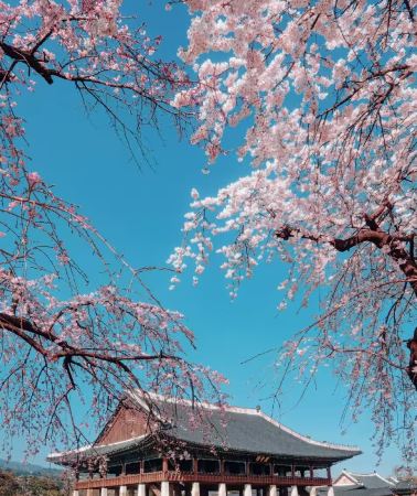 4日3晚 • 韓國首爾「純玩爆款＆八人精奢小團」入住黃金商圈飯店，24 小時接送機服務，古韻韓屋＋江南潮玩＋漢江乘船
