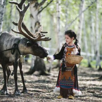 吉林长春+长白山+延吉+哈尔滨+漠河8日7晚私家团