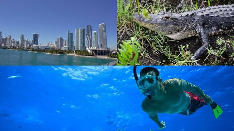 3-Day 3-Day Florida: Key West Snorkeling, Miami Bus & Boat & Everglades