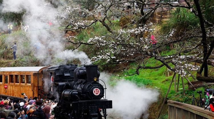 2-Day Alishan Taiwan 2 Day Private Tour from Taipei