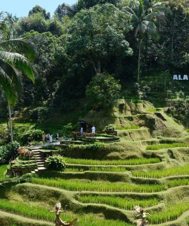 2D1N • Indonesia: Bali + Ubud: Tohpati Village + Celuk Village + Mount Batur + Taman Ayun Temple + Banyumala Twin Waterfall + Tegallalang Rice Terrace