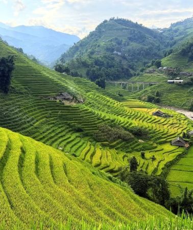 3D2N • From Hanoi: 3-Day Sapa Tour with Hotel and Village Stay