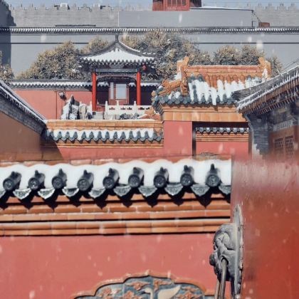 哈尔滨+雪乡+延吉+长白山+沈阳7日6晚跟团游